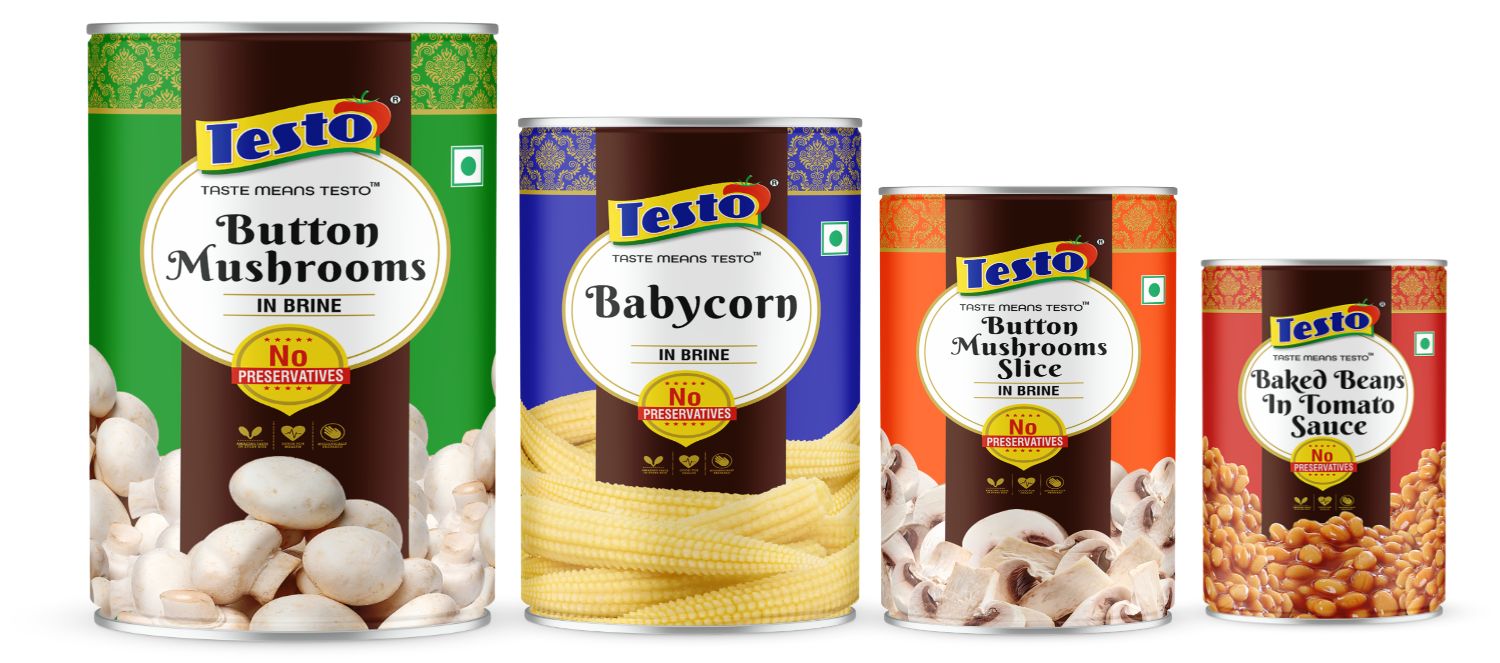 Testo Soya Chaap Ready to Cook Delicious Food